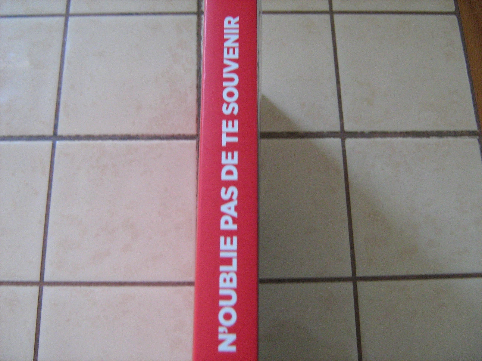 n'oublie pas de te souvenir – photo 2
